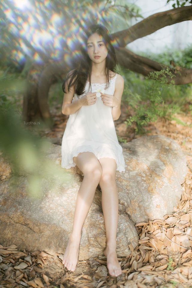 欧美日韩精品一区二区三区